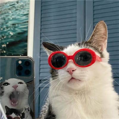جاوید میا نداد avatar